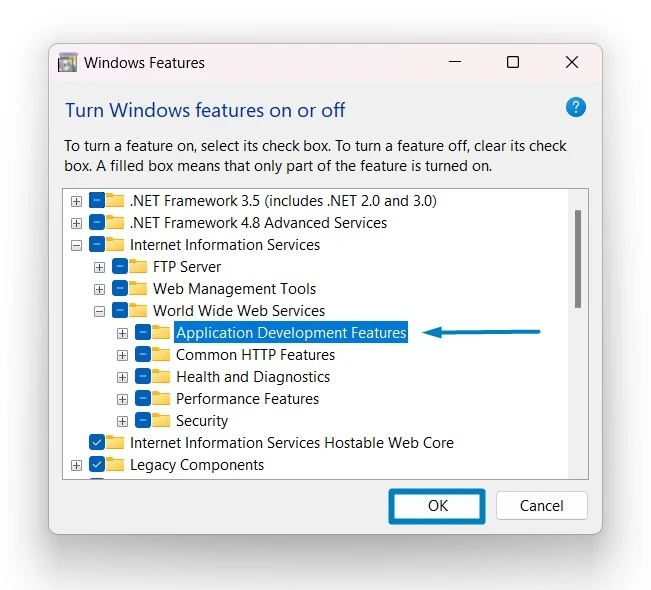 Enable Application Development Features