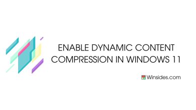 Dynamic Content Compression Windows 11