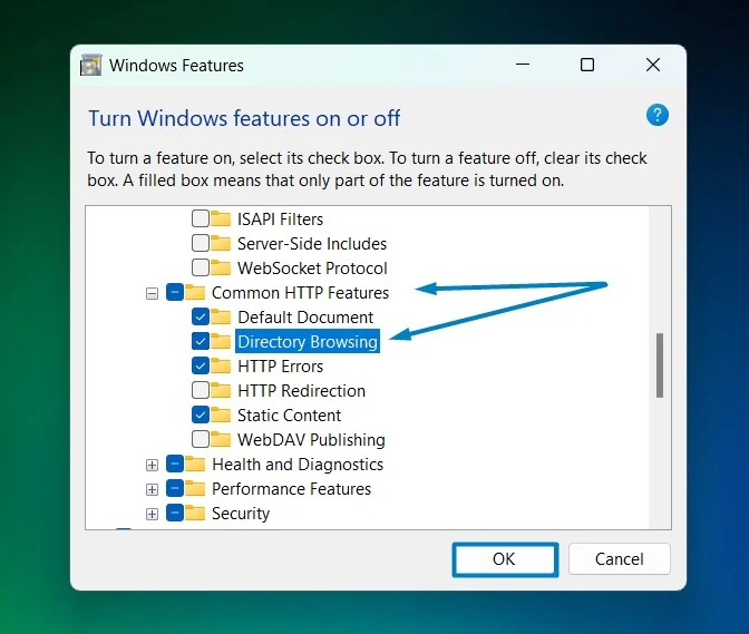 Enable Directory Browsing
