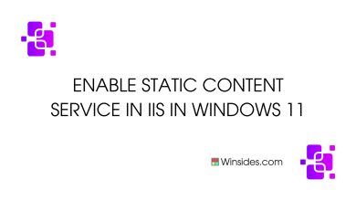 Enable Static Content Service in Windows 11