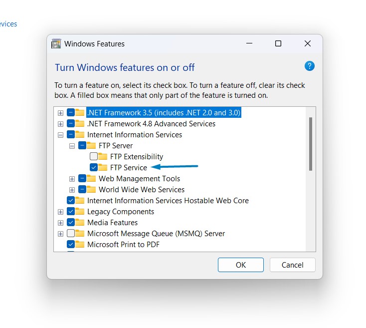 Enable FTP Service in Windows 11