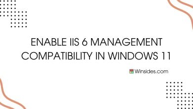 IIS 6 Management Compatibility in Windows 11