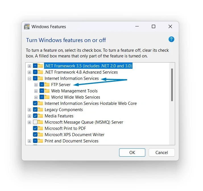 IIS Components Windows 11