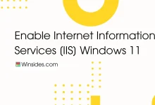 Enable IIS in Windows 11