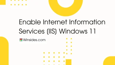 Enable IIS in Windows 11