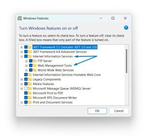 Enable IIS 6 Management Compatibility in Windows 11