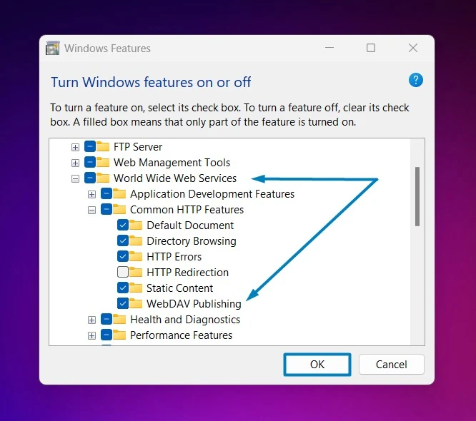 WebDAV Publishing Windows 11