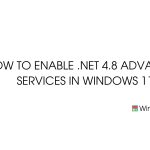 Enable .net framework 4.8 advanced services