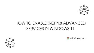 Enable .net framework 4.8 advanced services