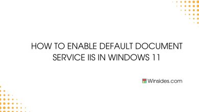 Enable Default Document Service in IIS
