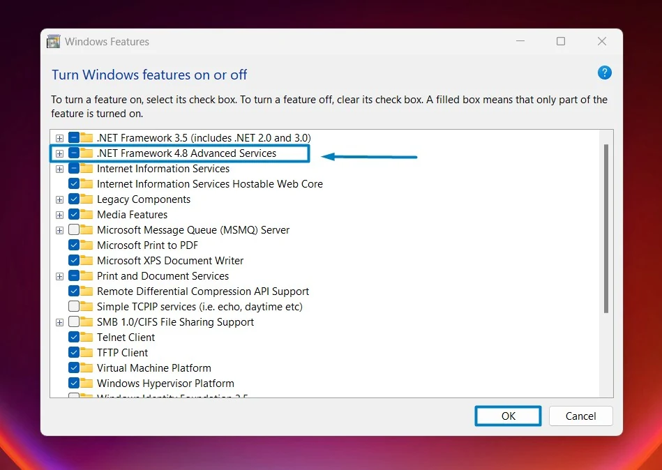 enable .net 4.8 advanced services