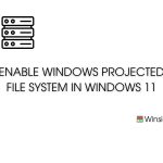 Enable Windows Projected File System Windows 11