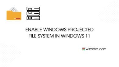 Enable Windows Projected File System Windows 11