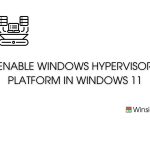 Windows Hypervisor Platform