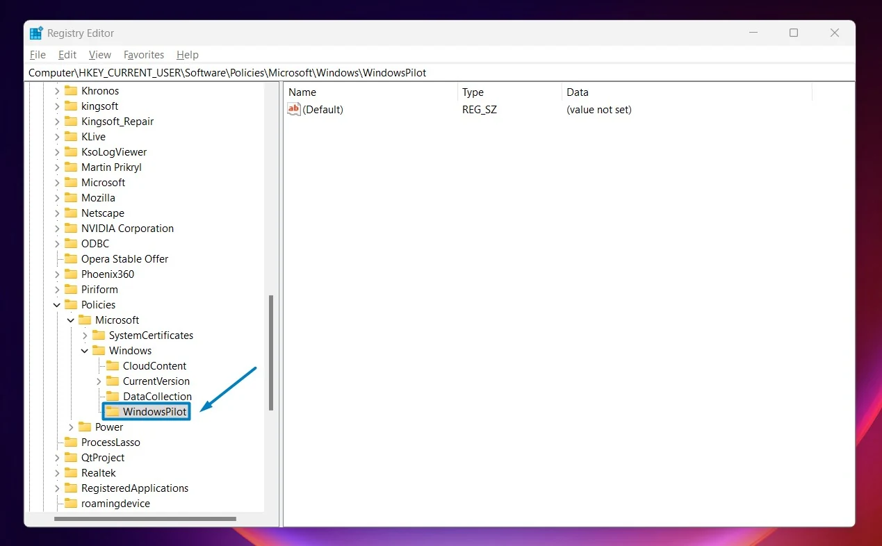 WindowsCoPilot Folder