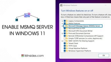 Enable MSMQ Server in Windows 11