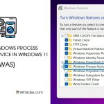 Enable WAS in Windows 11