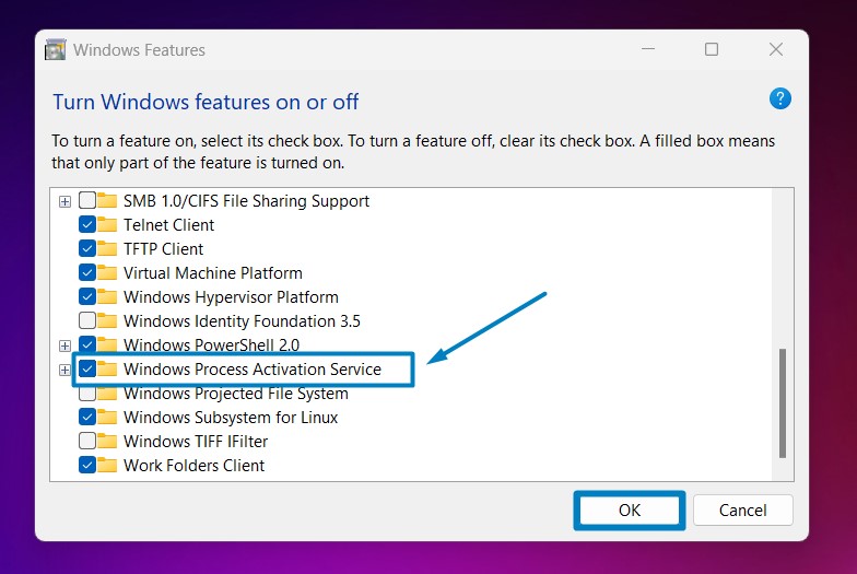 Enable Windows Process Activation Service in Windows 11