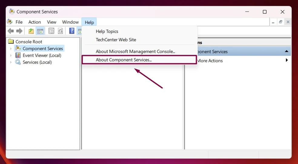 About Component Services Management