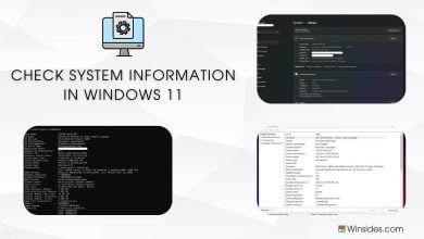 Check System Information in Window 11