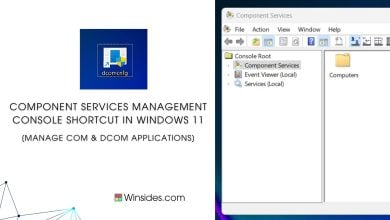 Component Services Management in Windows 11