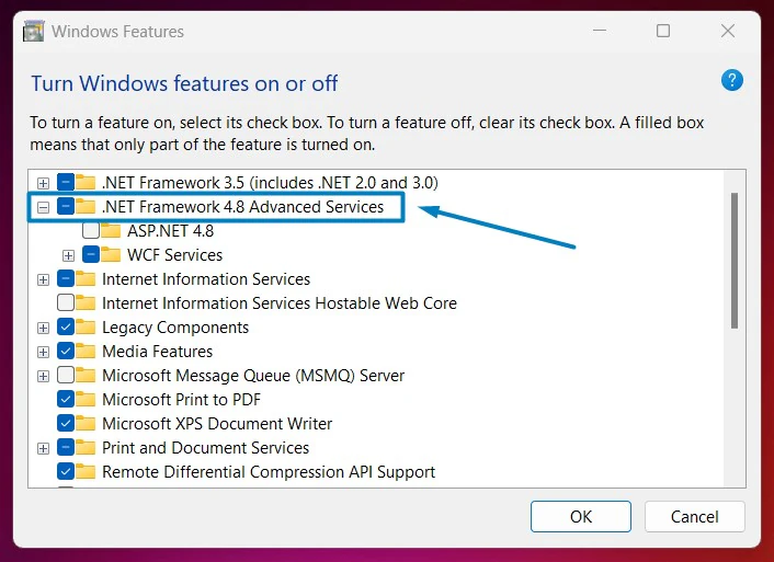 DOT NET 4.8 Advanced Services