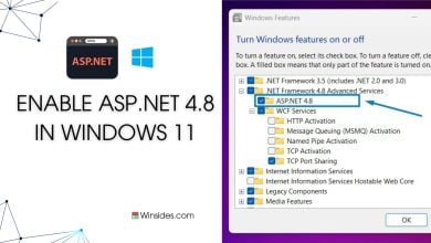 Enable ASP.NET 4.8 in Windows 11