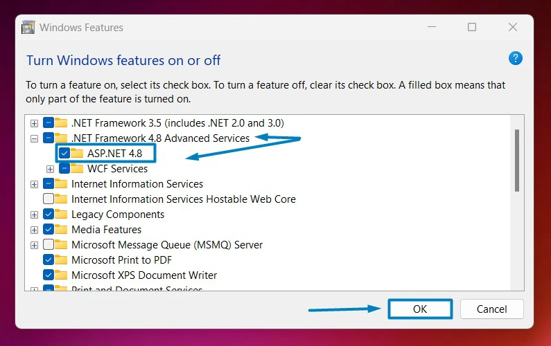 Enable ASP.NET 4.8