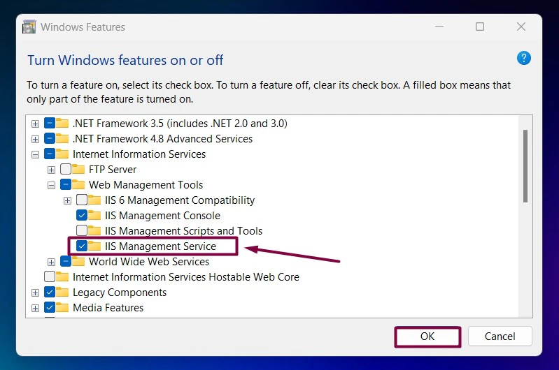 Enable IIS Management Service in Windows 11