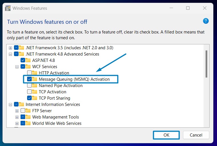 Enable MSMQ Activation in Windows 11