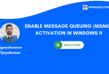 Enable Message Queuing (MSMQ) Activation in Windows 11