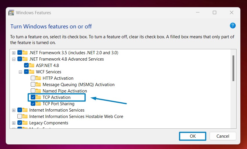 Enable TCP Activation in Windows 11