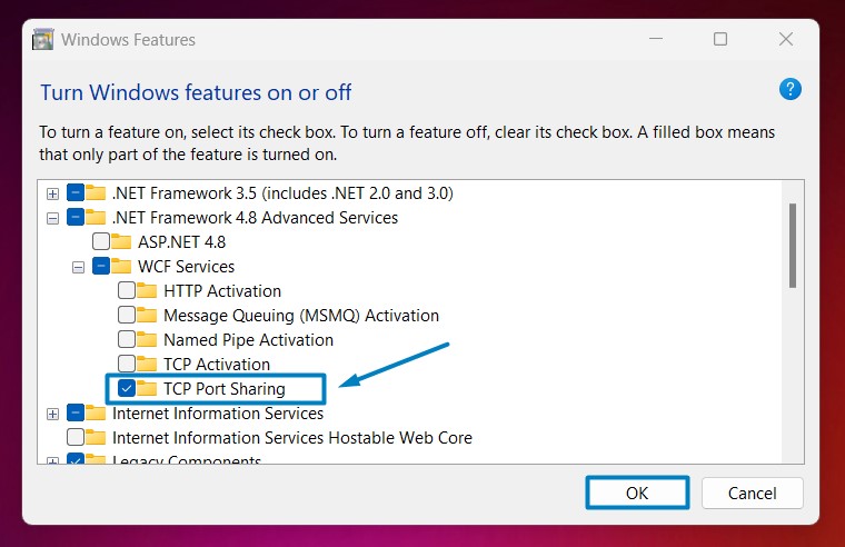 Enable TCP Port Sharing in Windows 11