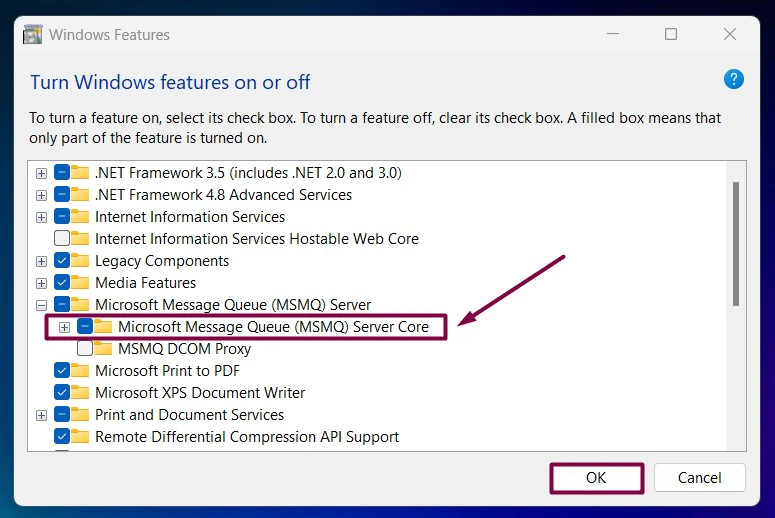 Expand MSMQ Server Core Node