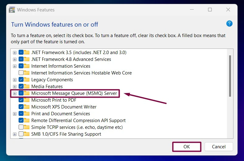 Expand MSMQ Server Node