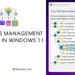 IIS Management Console in Windows 11