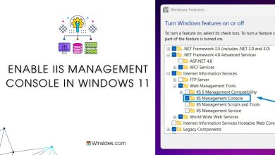 IIS Management Console in Windows 11