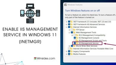 IIS Management Service in Windows 11