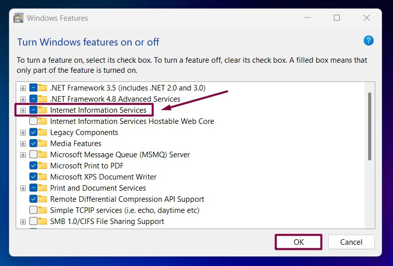 Internet Information Services in Windows 11 Internet Information Services in Windows 11