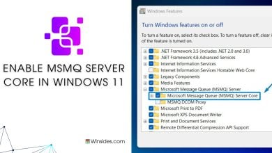 MSMQ SERVER CORE in Windows 11