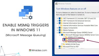 MSMQ Triggers in Windows 11