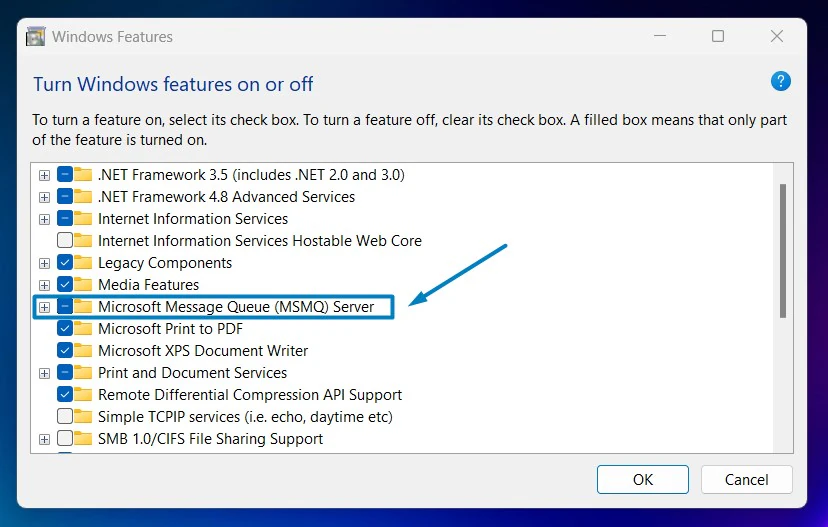 Microsoft Message Queue Server