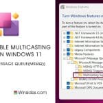 Multicasting Support(MSMQ) in Windows 11