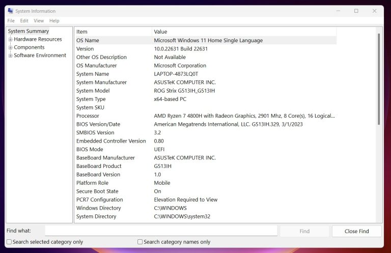 How to check System Information in Windows 11? - Winsides.com