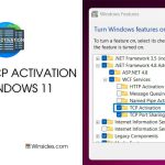 TCP Activation in Windows 11