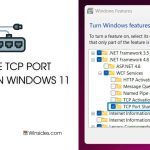 Enable TCP Port Sharing in Windows 11