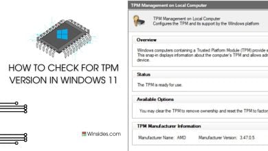 check for TPM Version in Windows 11