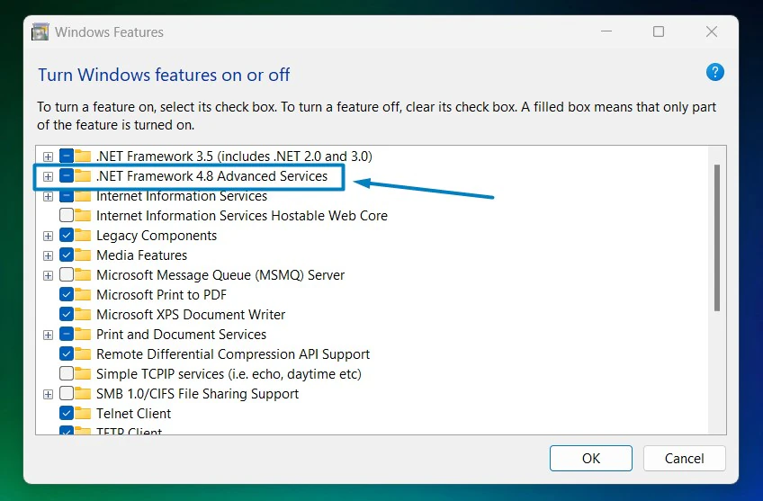 .net framework 4.8 Advanced Services