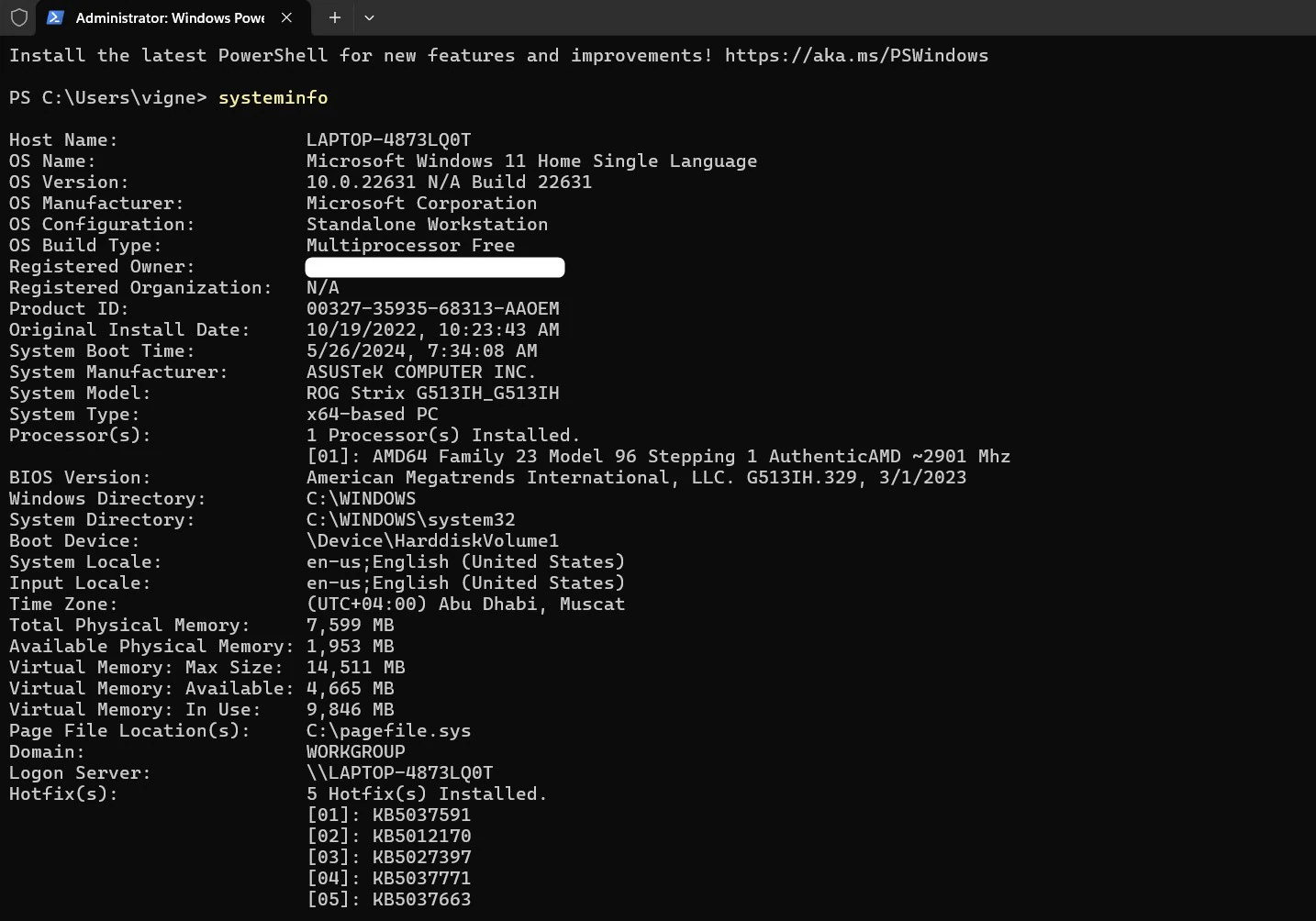 system info in Windows Terminal system info in Windows Terminal