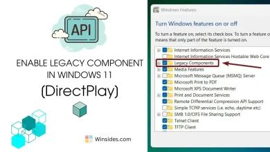 Enable DirectPlay in Windows 11